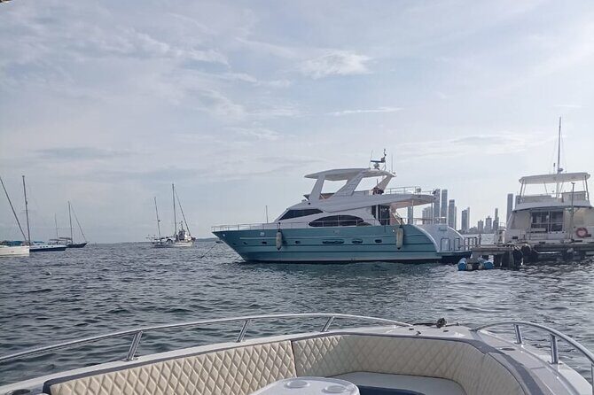 Private Boat Tour of the Rosario Islands - A Closer Look at the Tour Experience