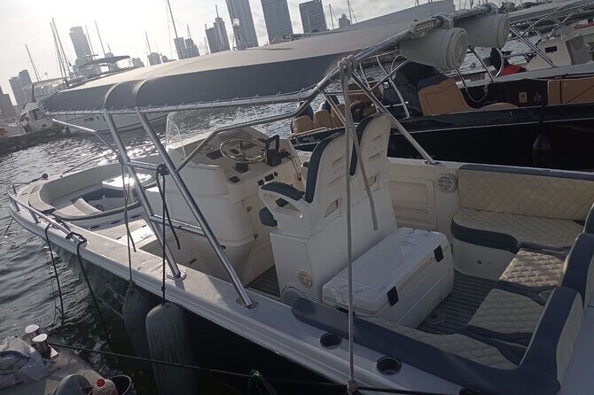 Private Boat Tour of the Rosario Islands - Final Thoughts: Who Should Book This Tour?