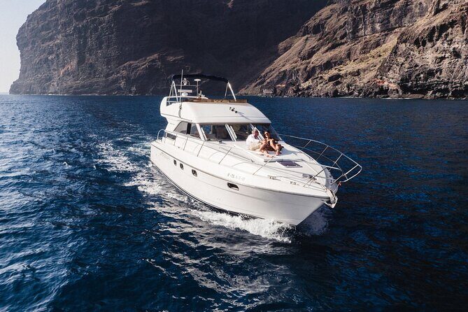 Private Boat Tour on Royal Ocean Yacht, Tenerife - Wildlife and Nature: Watching Whales and Dolphins