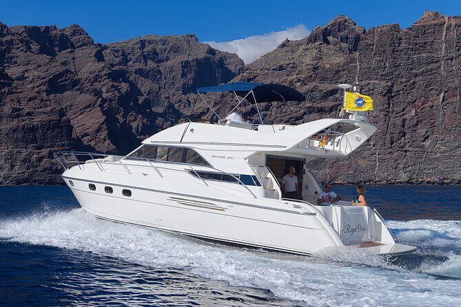 Private Boat Tour on Royal Ocean Yacht, Tenerife - Practical Details and Tips