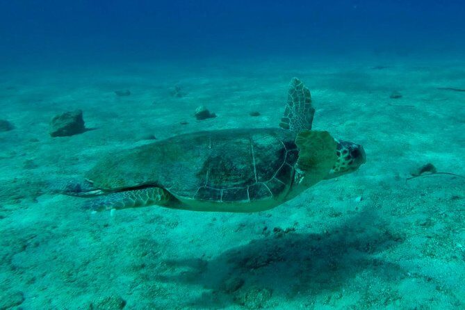 Private Boat Tour to Kekova and Sunken City From Antalya Incl.Transfer - A Deep Dive into the Experience