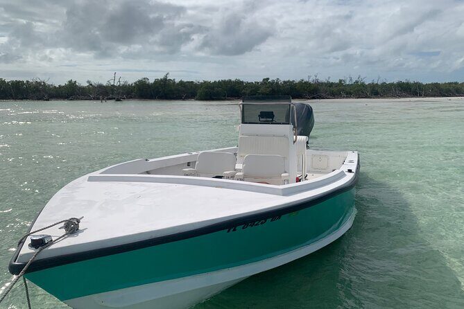 Private Boat Tour to Sand Bar Snorkel Dolphins and Sunset - In The Sum Up: Who Is This Tour Best For?