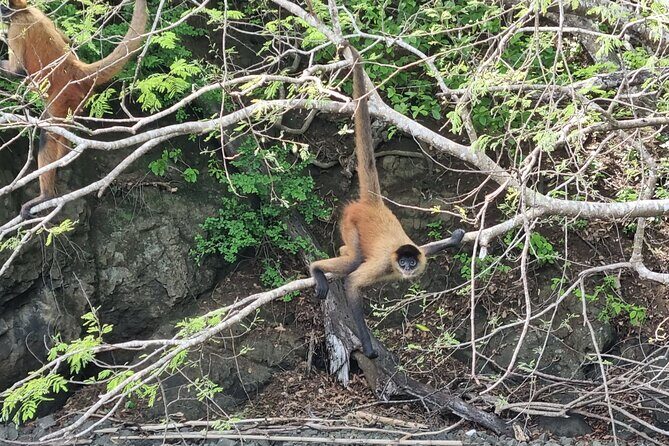 Private Boat Tour to Tortuga Island - Final Words