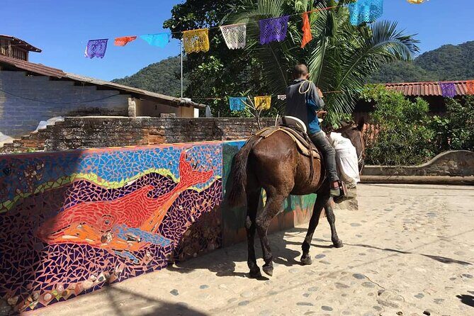 Private Boat Tour to Yelapa - FAQ