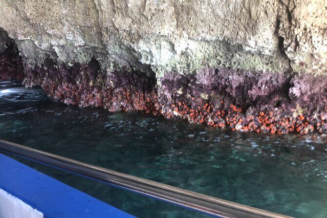 Private boat tour with prosecco and fresh fruit - Practical Tips for Your Booking