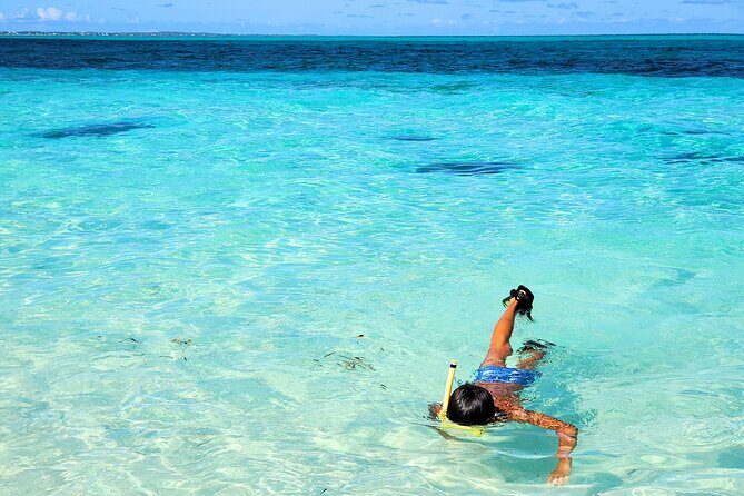 Private Boat Tour with Snorkeling, Island Hopping, and Noahs Ark - Practical Tips for Your Trip