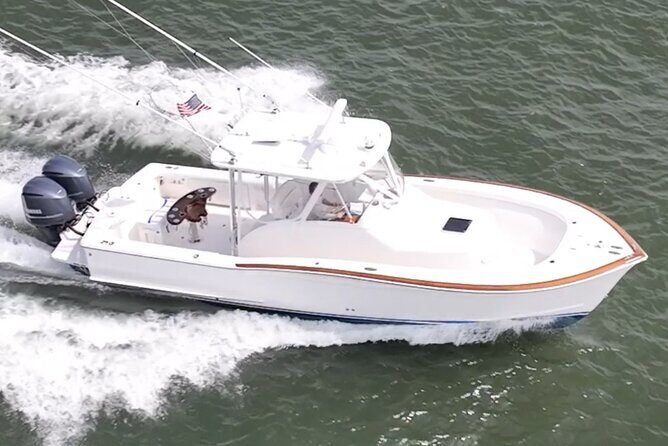 Private Boat Tours and dolphin encounters in Avalon NJ - Private Boat Tours and Dolphin Encounters in Avalon NJ