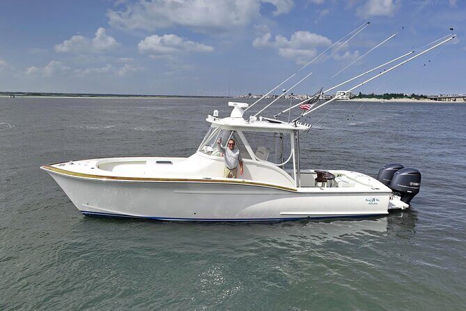 Private Boat Tours and dolphin encounters in Avalon NJ - Who Will Love This Tour?