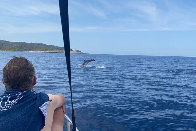 Private boat trip - Hvar Brac and Pakleni islands from Split - Experience the Best of Croatia’s Islands with a Private Boat Trip from Split