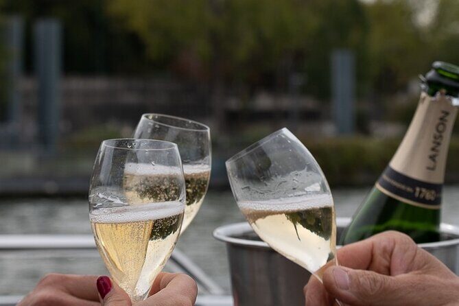 Private Boat Trip in Paris - Practical Tips for Booking and Enjoying