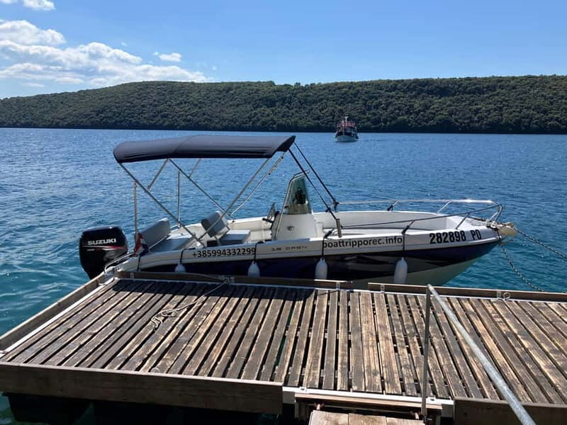 Private boat trips in Porec: dolphin watching, panoramic tour - Who Will Love This Tour?