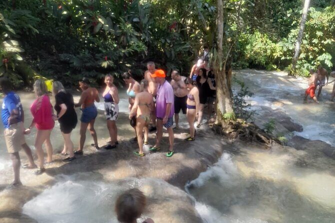 Private Bob Marley 9 Mile& Dunns River Adventures Fr. Montego Bay - FAQ