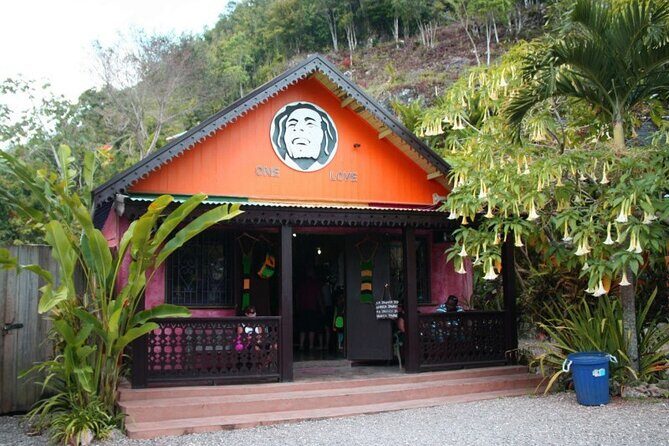 Private Bob Marley & Dunns River from Montego Bay Hotels and Villas - Who Should Consider This Tour?