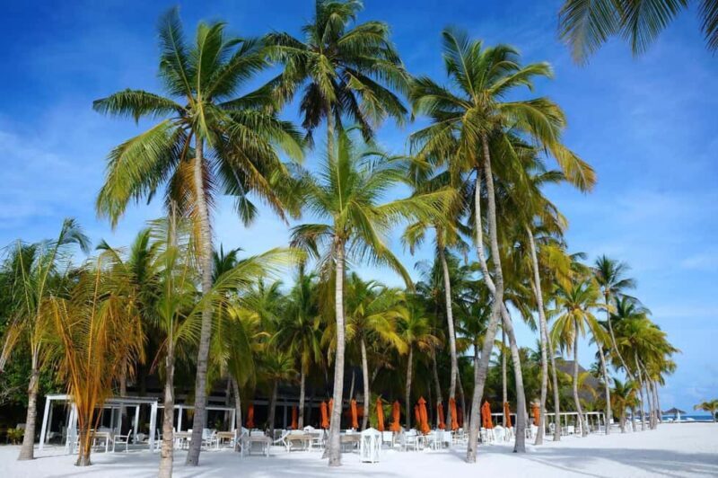 Private: Boca Chica to Saona Island Full-Day Cruise - FAQ