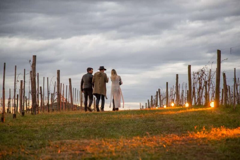 Private Bodega Gamboa Wine Tasting Tour With Lunch - The Value of the Tour