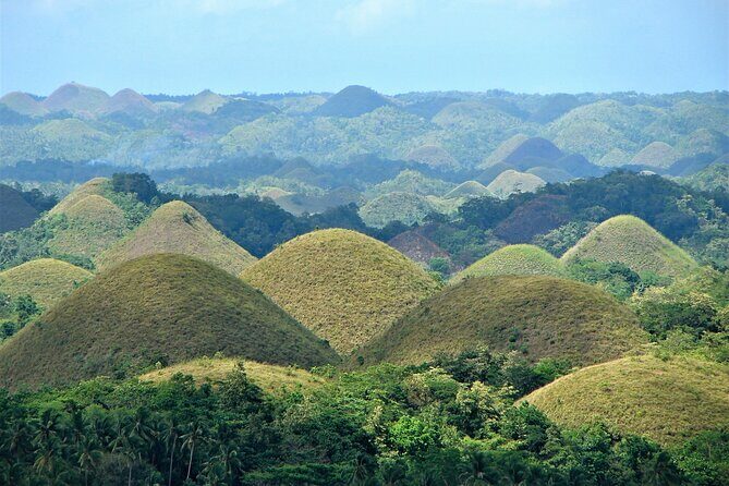 Private Bohol and Chocolate Hills with Loboc River Cruise - An In-Depth Look at the Tour Itinerary