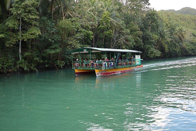 Private Bohol and Chocolate Hills with Loboc River Cruise - Who Will Love This Tour?