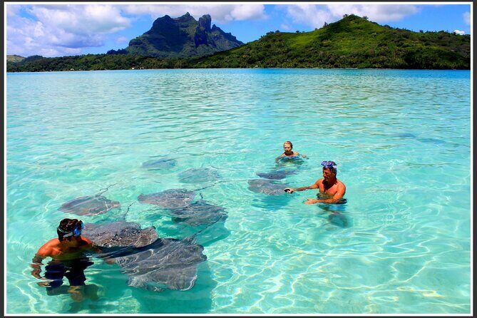 Private Bora Bora Lagoon & Water Lunch Experience - Practical Tips for Booking and Enjoying