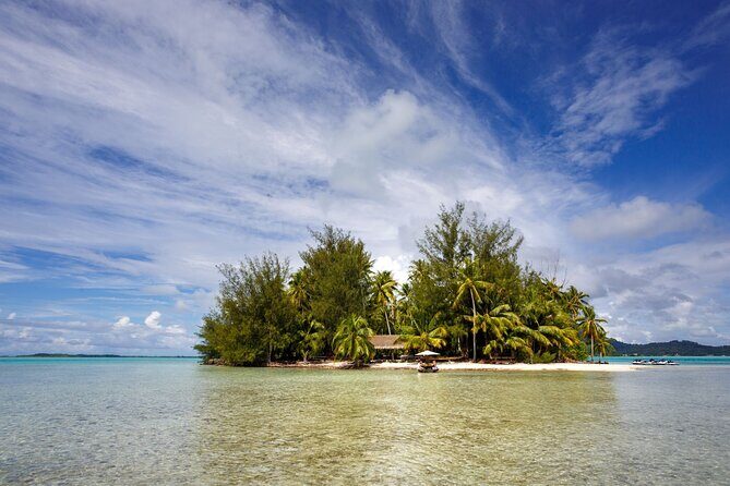 Private Bora Bora Snorkeling Cruise with Optional Vegetarian Lunch on the Beach - Who Is This Tour Best For?