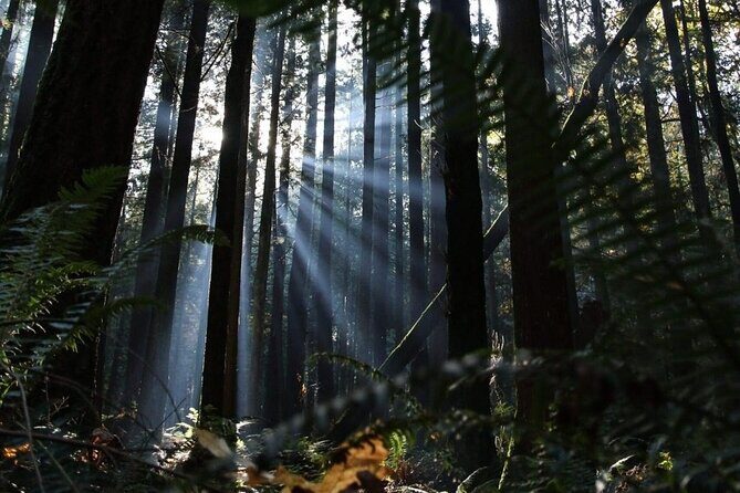 Private Border Corner Tour in Washington - Practical Details and What to Expect