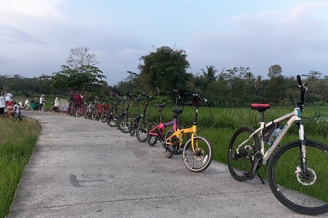 Private Borobudur Village Tour by Bike - The Sum Up
