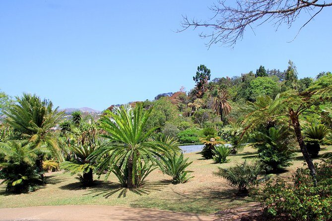 Private Botanical Garden Tour - Key Points