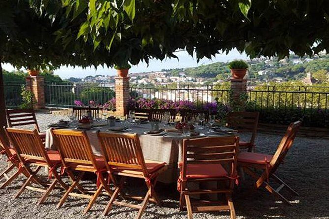 Private Breakfast Winery Experience - Private Wine Tasting Tour - Key Points