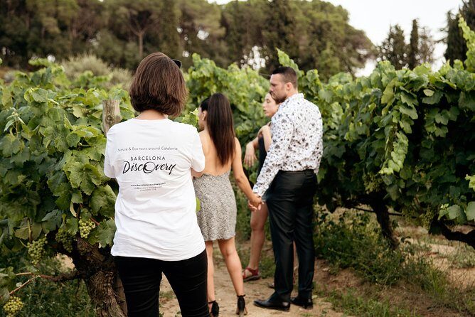 Private Breakfast Winery Experience - Private Wine Tasting Tour - Why This Tour Works Well