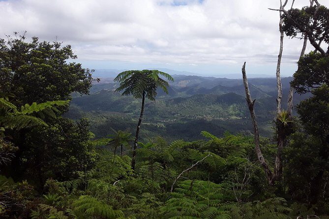 Private Breathtaking Mnt Victoria Day Trek - Frequently Asked Questions