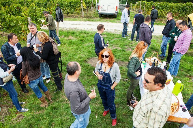 Private Brijuni Day Cruise with Dinner and Drinks - A Detailed Look at What You Can Expect