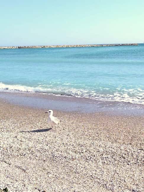Private Bucharest Tour: Discover Constana & Black Sea Coast - Detailed Breakdown of the Itinerary