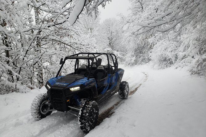 Private Buggy Experience All Seasons in Pamporovo - Key Points