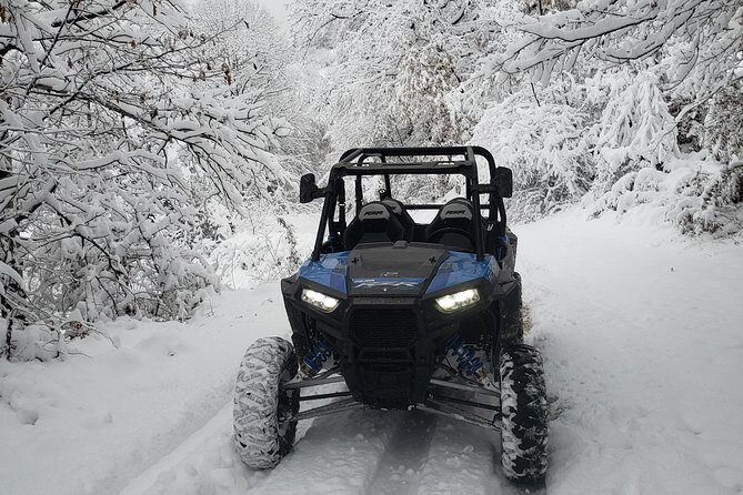 Private Buggy Experience All Seasons in Pamporovo - Safety and Comfort