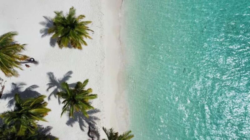 Private Buggy Safari Sugar Plantation & Chavón River Journey - Practical Details to Know