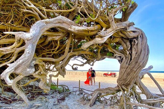 Private buggy tour along the east coast of Jericoacoara - Frequently Asked Questions