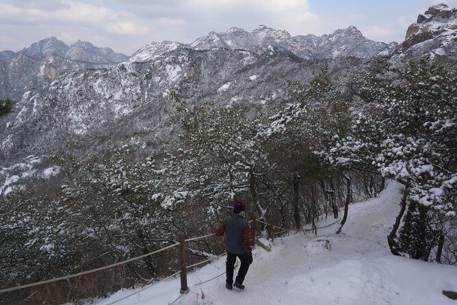 Private Bukhansan Hiking Tour (More Members Less Cost per Person) - The Sum Up: Is This Tour Right for You?