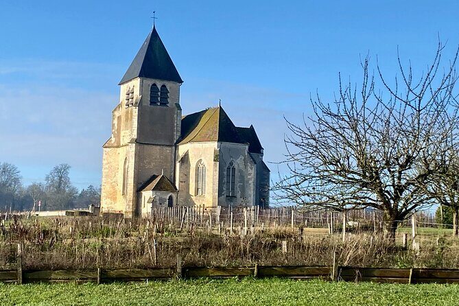 Private Burgundy 3 Domaines Chateau Pommard Chablis 15 Wines Trip - Exploring Burgundy: From Paris to the Heart of Wine Country