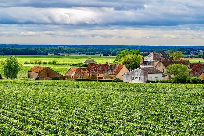 Private Burgundy 3 Domaines Chateau Pommard Chablis 15 Wines Trip - The Sum Up