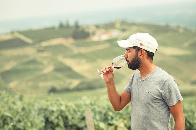 Private Burgundy Half Day Wine Tour by Vintage Land Rover - What You Can Expect from a Typical Day