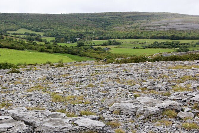 Private Burren and Cliffs of Moher Full Day Tour - Frequently Asked Questions