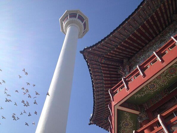 Private Busan Tour with hidden gem of Busan by Local Guide - Key Points