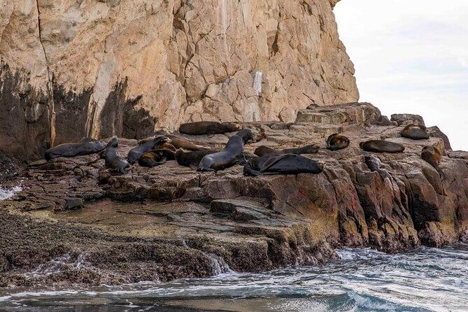 Private Cabo San Lucas City Tour - Frequently Asked Questions