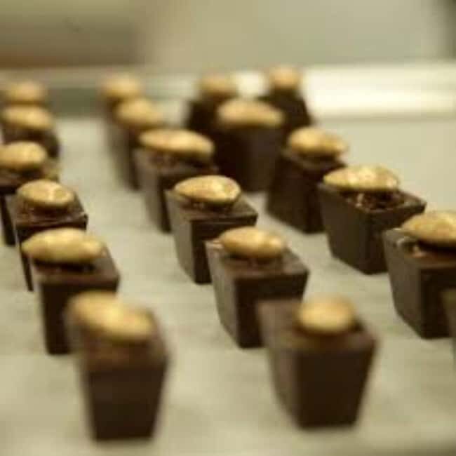 Private: Cacao Plantation Tour with Lunch & Tasting - Discover the Sweet World of Cacao on a Private Plantation Tour in the Dominican Republic