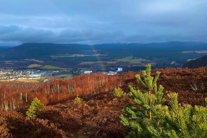 Private Cairngorm National Park tour - Exploring Cairngorms National Park with a Private Guide