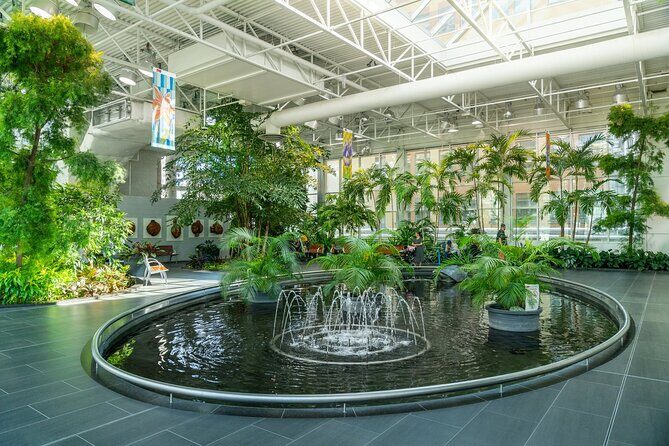 Private Calgary City Highlights 2 Hour Walking Tour - Who Should Consider This Tour?