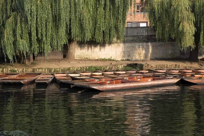 Private Cambridge Punting Tour - The Sum Up