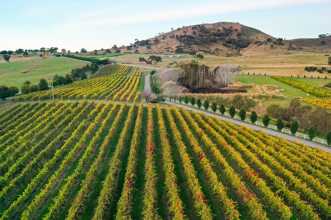 Private Canberra Winery Tour with lunch - Value and Practical Considerations