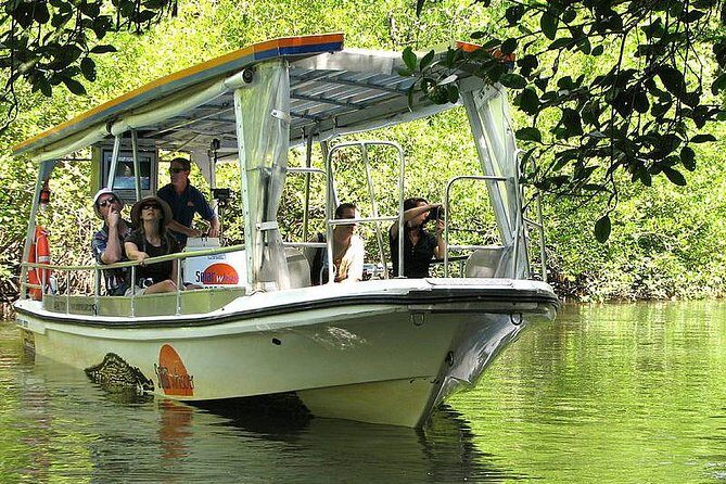 Private Cape Tribulation & Mossman Gorge Day Tour - Exploring the Cairns Private Day Tour: What to Expect
