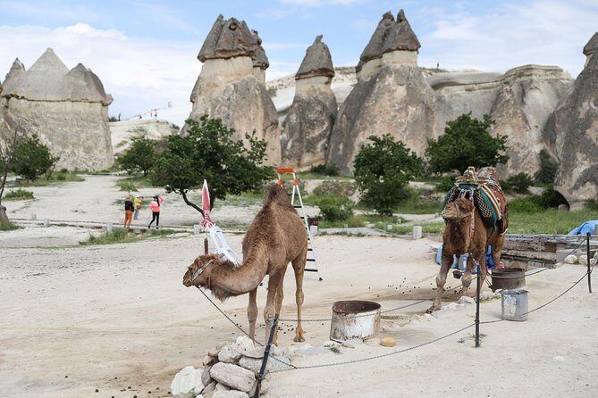 Private Cappadocia Tour w/Chimneys and Goreme Open Air Museum - Final Thoughts