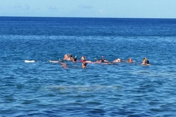 Private Captain's Most Popular Snorkeling and Beach Day with Lunch - A Deep Dive into the Day